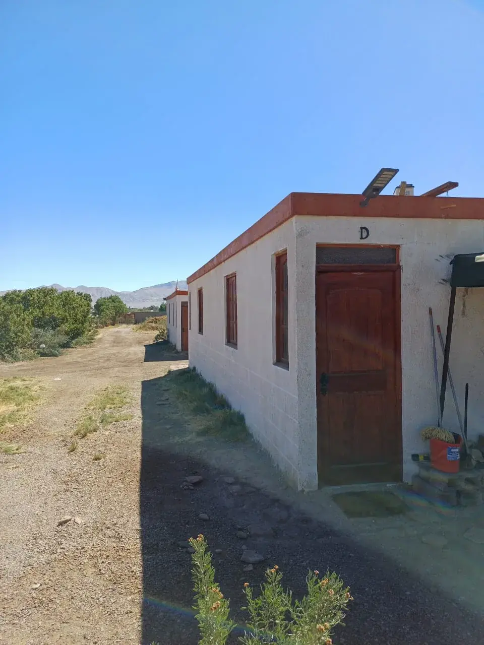 Área exterior con vegetación y terreno abierto